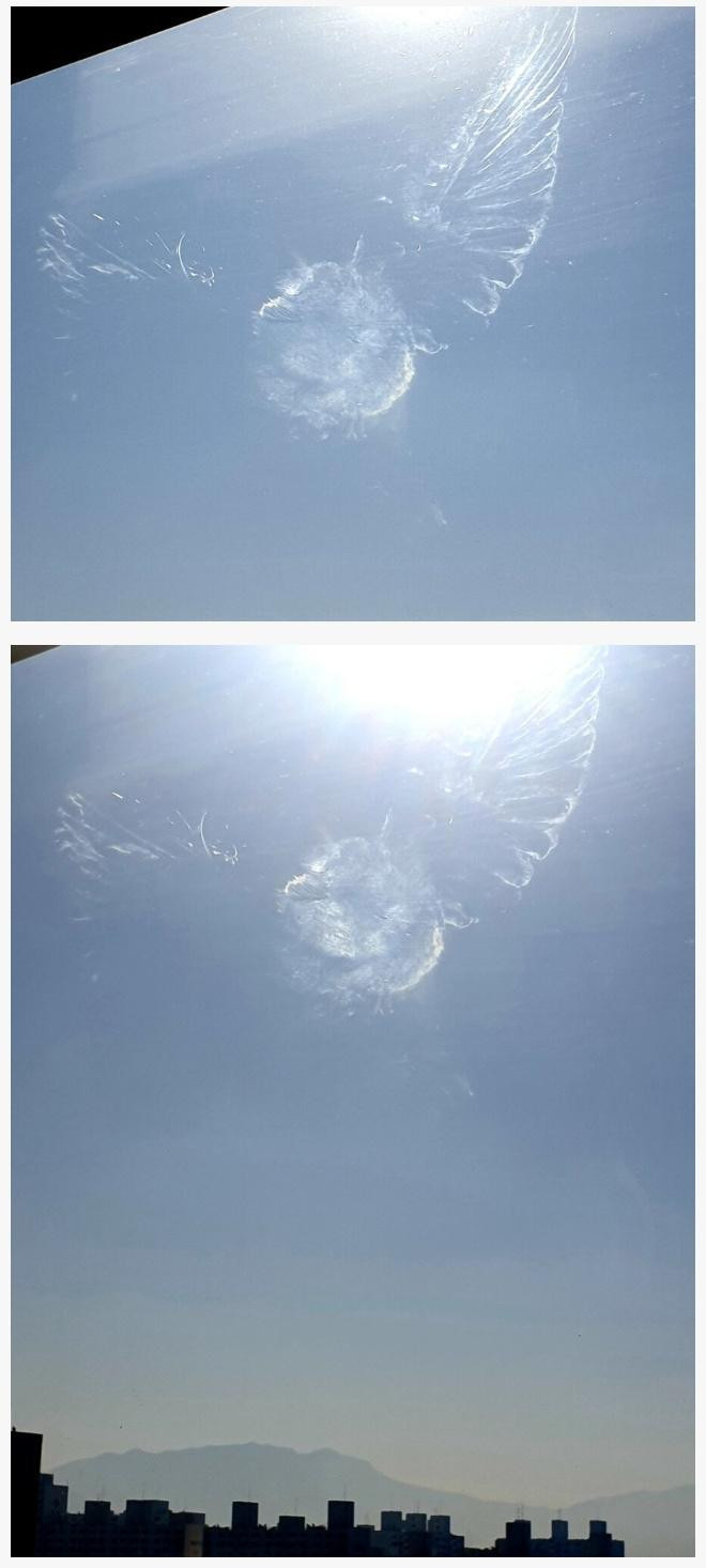 베란다 유리창 너무 깨끗하게 하면 생기는 일