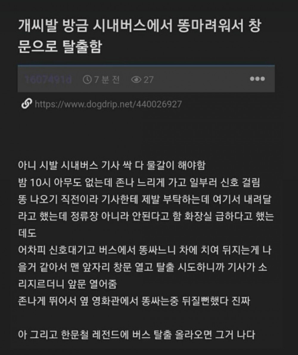 시내버스에서 똥마려워서 창문으로 탈출함 