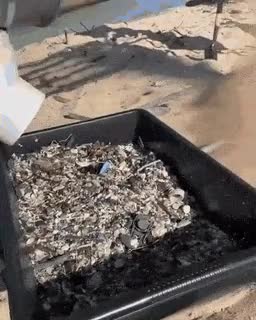 해수욕장 모래 속 쓰레기 제거 방법