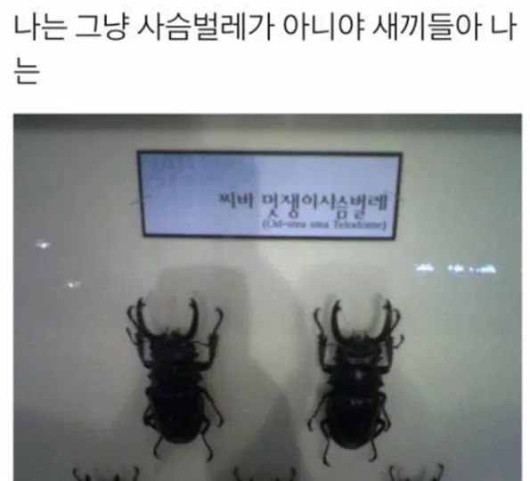 마 내가 누군지아나